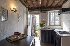 Fridge, microwave, oven, stovetop - Luxury Villa on the Lucca's hills with private pool, BBQ,tennis court,PingPong. (Lucca)