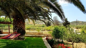 A garden with a palm tree, a hammock, and a stone pathway. - Aloni Home,family holiday,relaxing and quiet place,private parking,garden (moires)