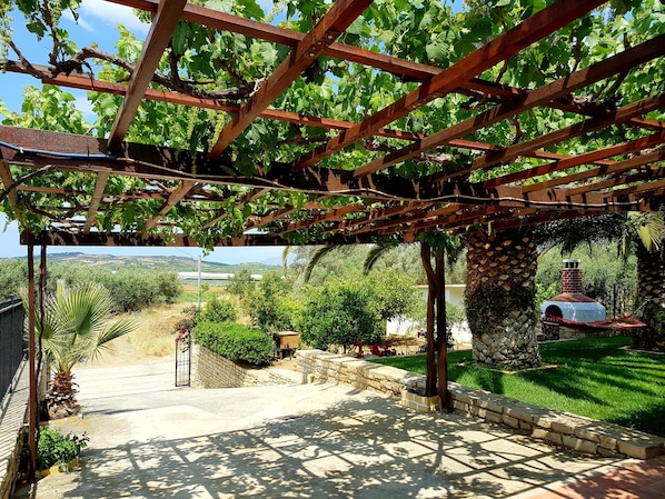 A vineyard with a pergola structure, stone walls, and a view of distant hills.