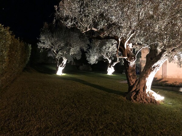 Áreas de la propiedad