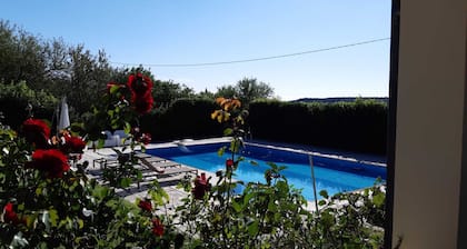 Villa Paradiso umgeben von grĂŒnen OlivenbĂ€umen von Oliven- und Johannisbrot