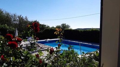 Villa Paradiso surrounded by green olive trees of olive and carob