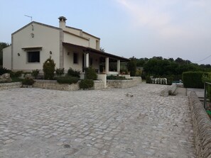 Property grounds - Villa Paradiso surrounded by green olive trees of olive and carob (Noto)