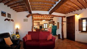 TV, fireplace, DVD player, books