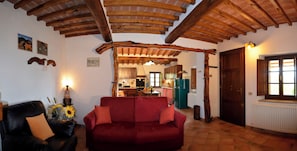 电视、壁炉、DVD 播放器、书