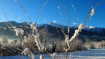 A snowy landscape with bare trees and mountains in the background.