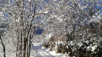 Un sentier enneigé, bordé d’arbres et d’arbustes, qui mène vers une chaîne de montagnes lointaine.