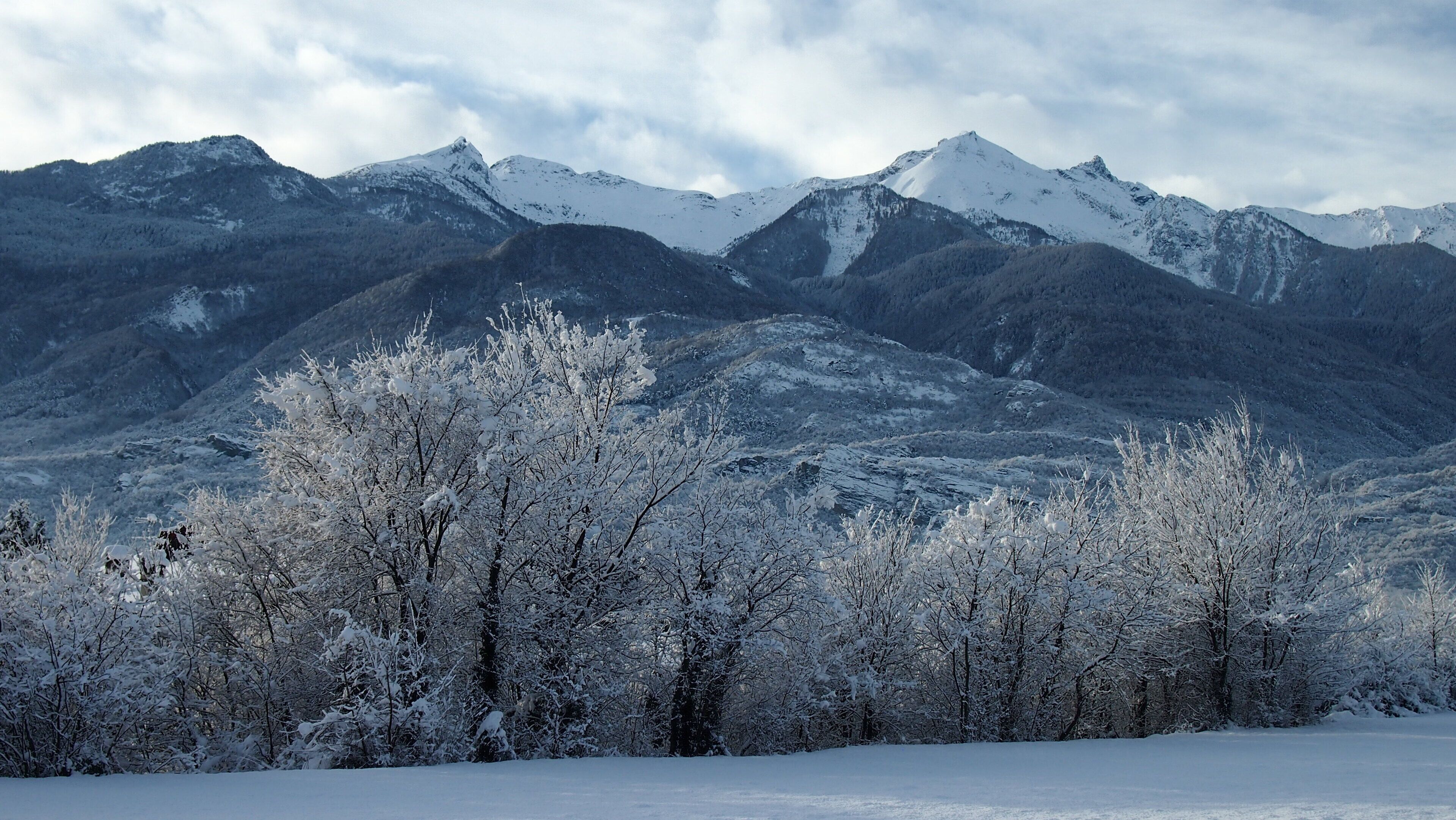Un paysage montagneux enneigé, avec des arbres et des montagnes couverts de neige en arrière-plan.