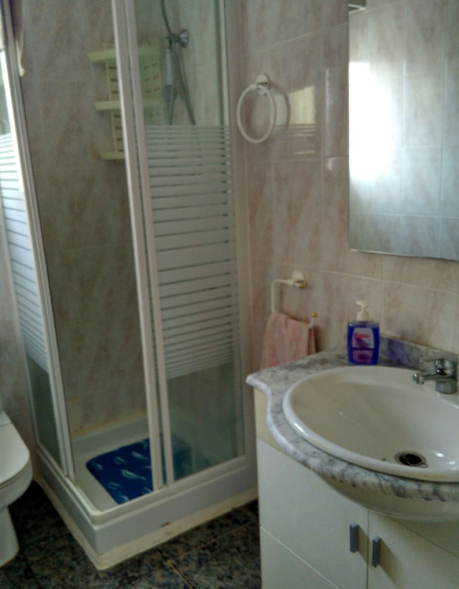 Ducha, secador de pelo, toallas, jabón