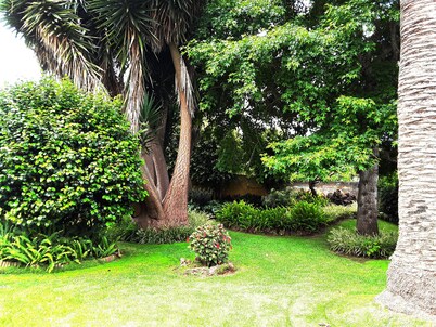 FINCA THE TRACE. FREE WIFI. 5 MINUTES FROM NORTH TENERIFE AIRPORT