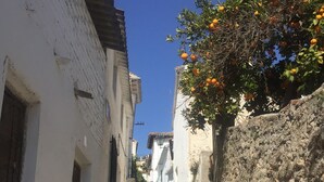 Property grounds - Romantic, Moorish house, pool, views, terraces - Lecrin Valley, south of Granada (Saleres)