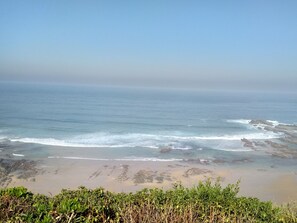 A beach with waves, a clear sky, and greenery in the foreground.