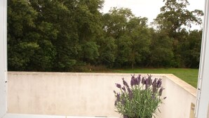 Una ventana con vistas a un paisaje verde, una maceta con planta de lavanda y una manzana pequeña en el alféizar.