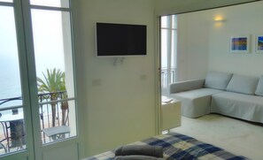 TV, DVD player, books, video library