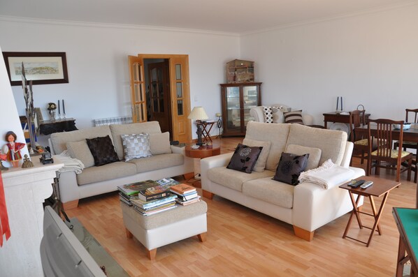 Smart TV, fireplace, DVD player, books