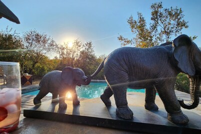 Bushvilla Umoja Kruger - wildlife without fences