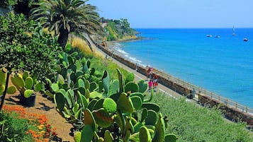 Playa en los alrededores