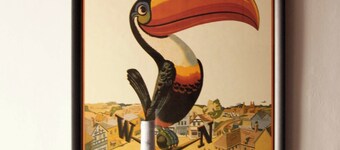 The apartment Architect