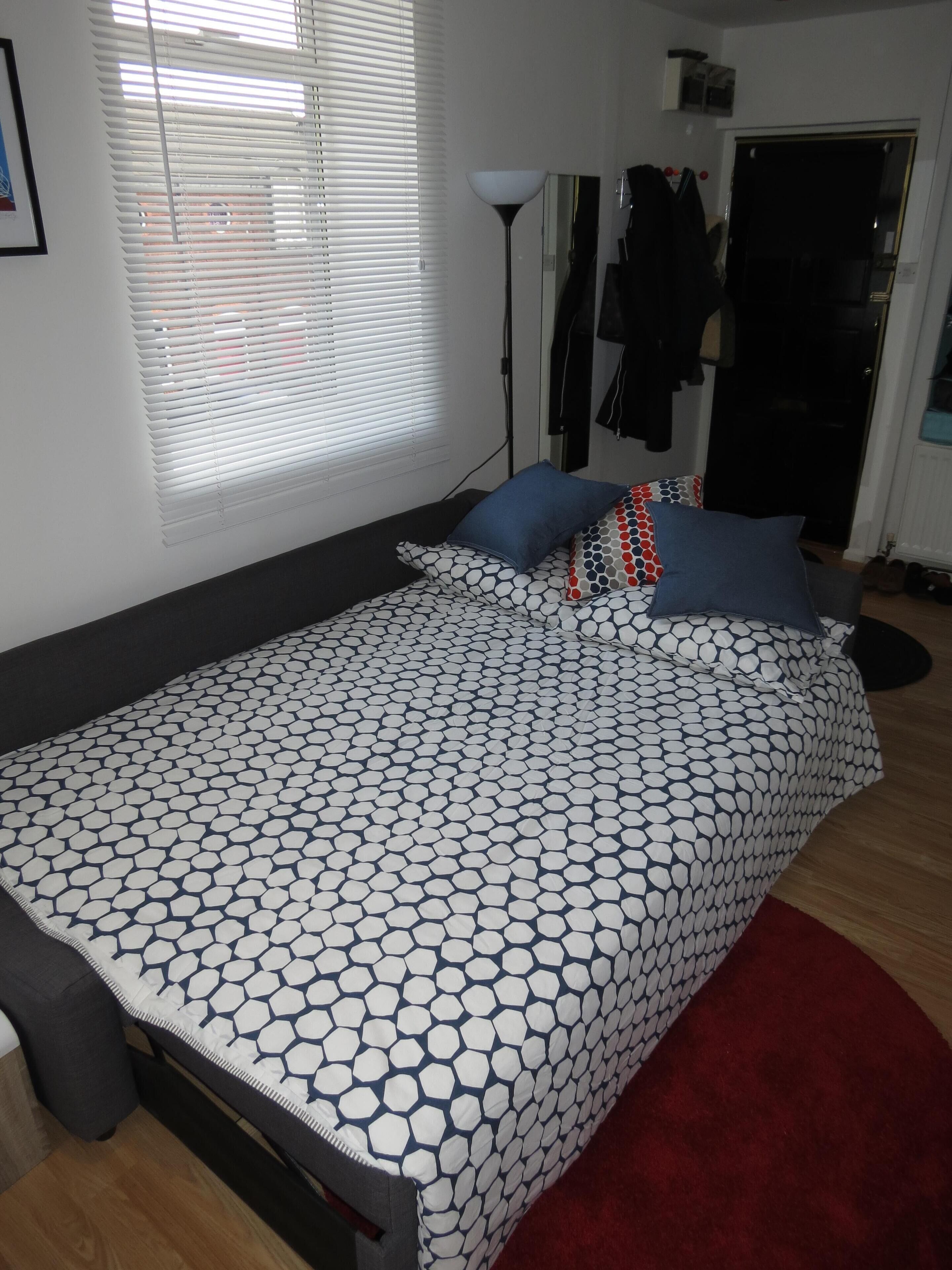A bedroom with a bed, a red rug, a window with blinds, a floor lamp, and a door.