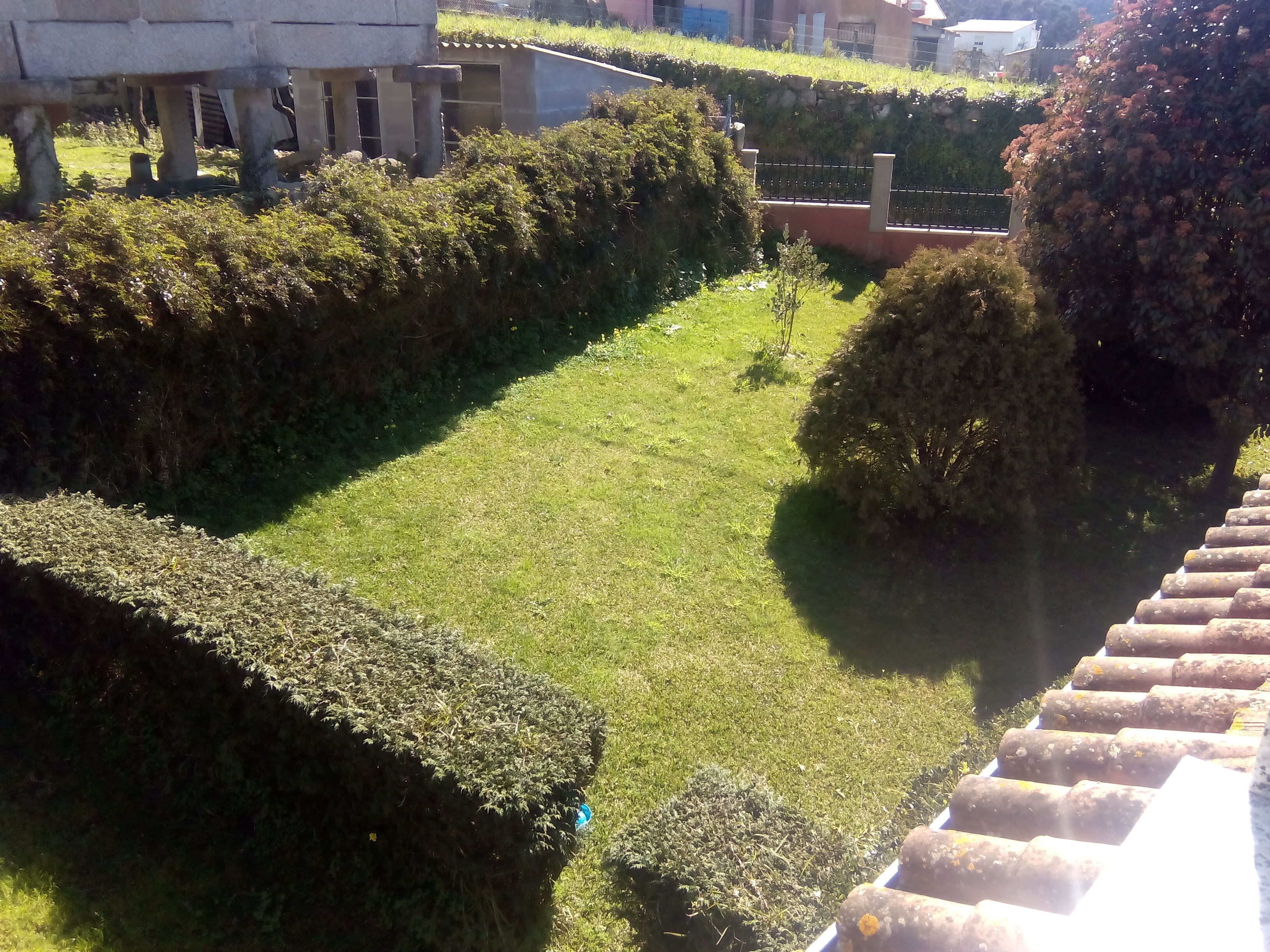 A well-maintained garden with neatly trimmed hedges and a grassy lawn.