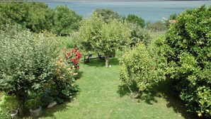 Ein Garten mit verschiedenen Bäumen und Sträuchern, einer Rasenfläche und einem Blick auf ein Gewässer im Hintergrund.