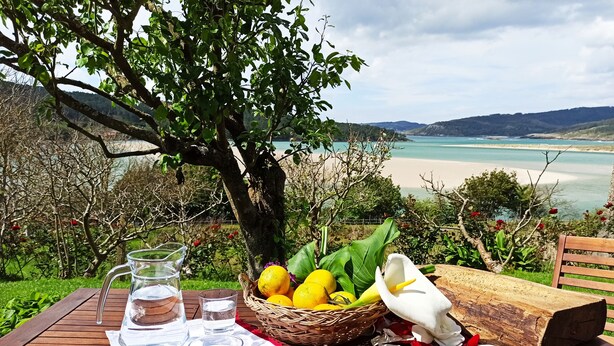 Ein Holztisch mit einer Kanne, Gläsern, einem Obstkorb und einer Blume an einer Aussichtsplattform.