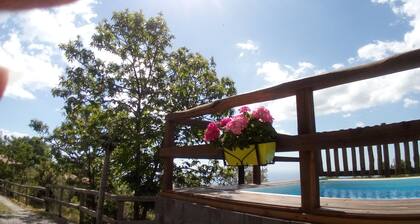 Etna Case Vacanze Eureka, Rustic Sunflower