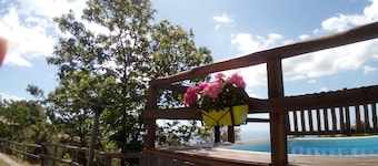 Etna Case Vacanze Eureka, Rustic Sunflower