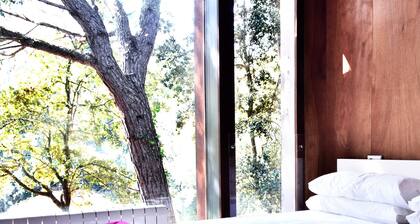 VILLA uima-altaalla BEGUR. TARJOUS