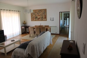 TV, fireplace, books