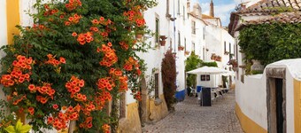 Farmhouse with large outdoor garden, private, near the beach, very green and quiet