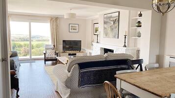 Televisio, takka, DVD-soitin, kirjoja