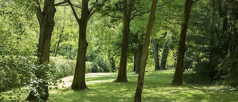 Parco della struttura