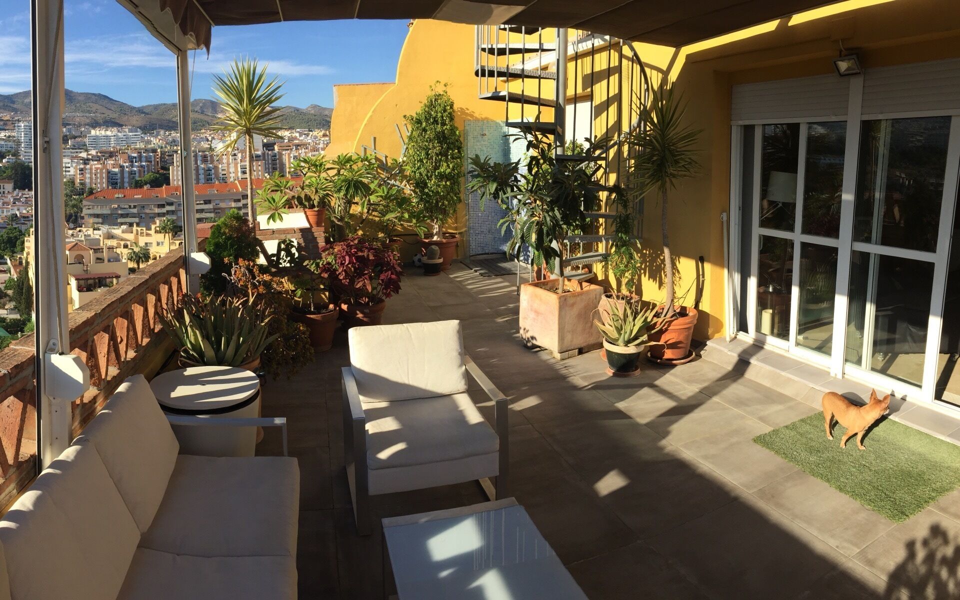 Terras