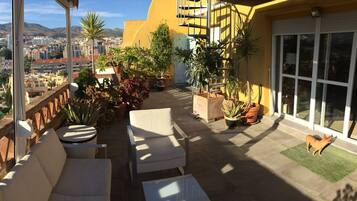 Terras