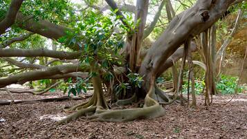 Parco della struttura