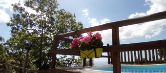 Holiday Homes Eureka, Rustico Edera