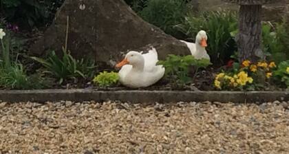 1 bed sweet little cottage in Yoxall