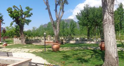 STUDIO Farm