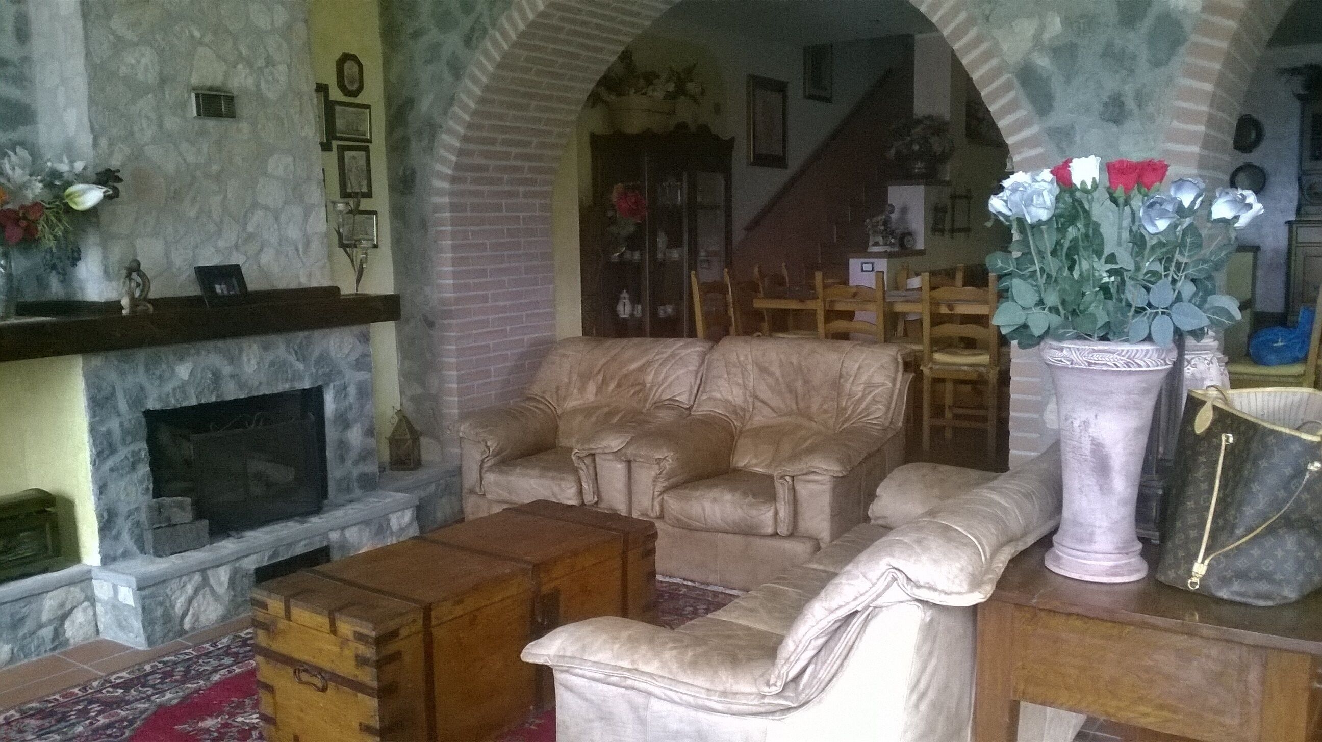 Smart TV, chimenea y libros 