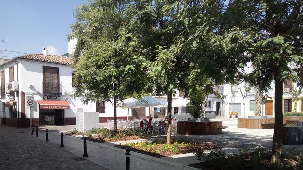 Rua de paralelepípedos com árvores e áreas de estar ao ar livre.