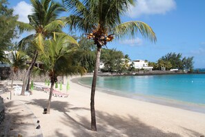 Une plage bordée de palmiers, un rivage sablonneux et une mer d’un bleu limpide.