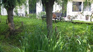 A garden with a small stream, trees, and a bench. - At the water wire Perigord (Lisle)