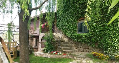 Tyypillisiä talo Toscanassa "tupakkakauppias"