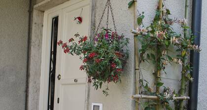 Robin's nest: quiet setting 200 meters from the historic center