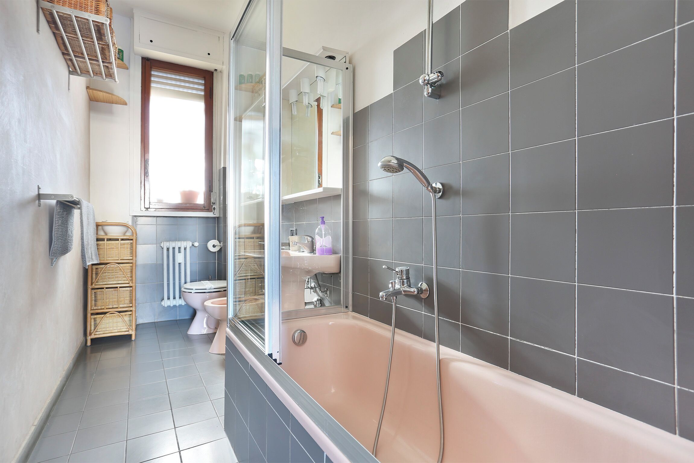 Shower, hair dryer, bidet, towels