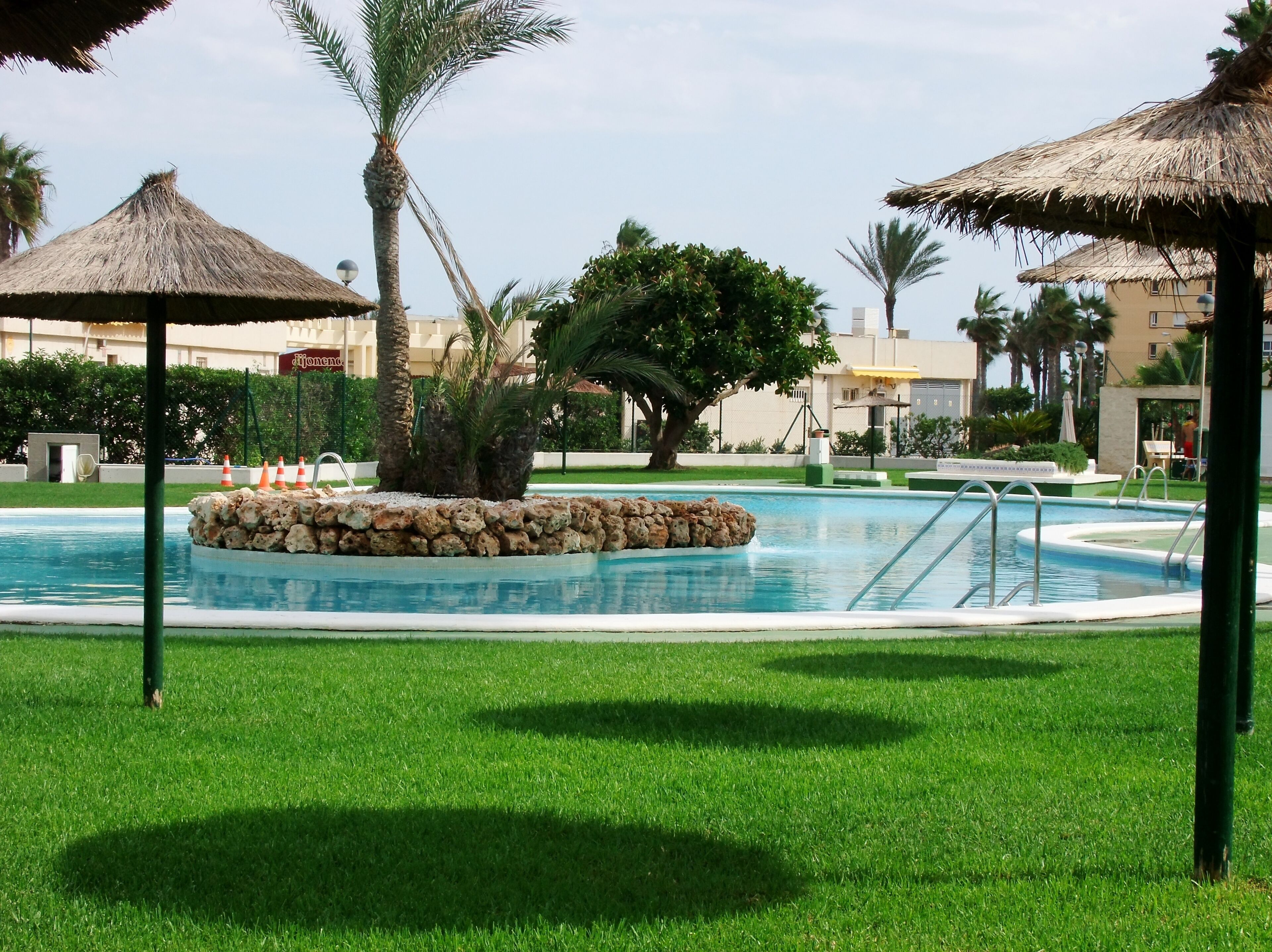 A swimming pool with a stone island, surrounded by grass and palm trees, with thatched umbrellas and a clear sky.