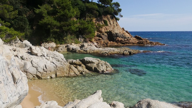 A rocky coastline with clear turquoise water and dense green trees on a cliff. - Stone corner in Barcelona (Corró d'Avall)