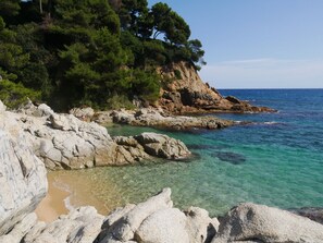A rocky coastline with clear turquoise water and dense green trees on a cliff. - Stone corner in Barcelona (Corró d'Avall)