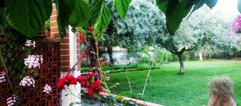 Villa with large garden between Taormina and Etna